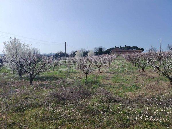 terreno agricolo in vendita ad Imola