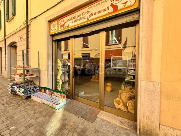 immagine annuncio 0 di 15