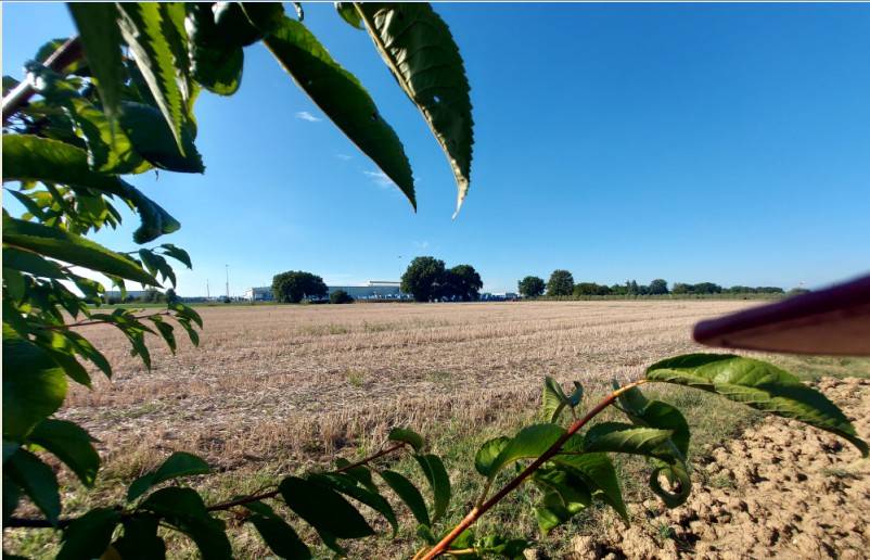 terreno agricolo in vendita ad Imola in zona Càsola Canina