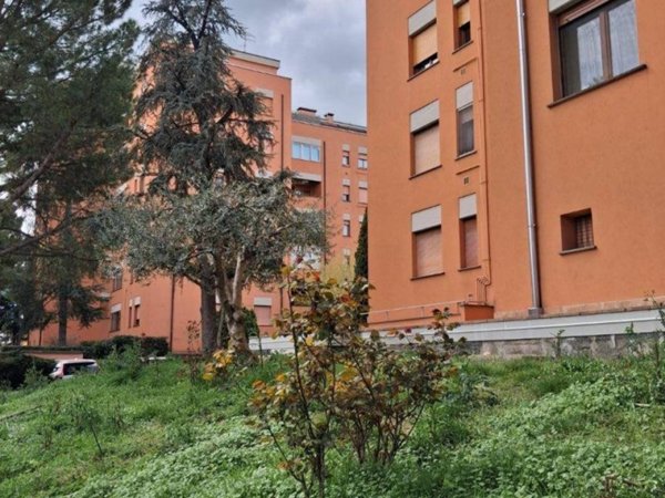 appartamento in vendita ad Imola in zona Pedagna