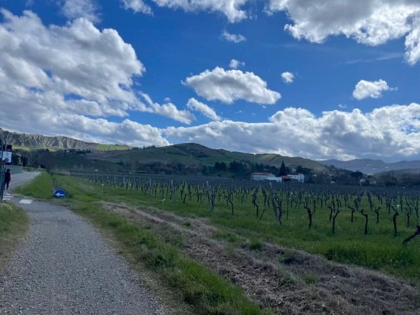 terreno agricolo in vendita ad Imola in zona Fabbrica