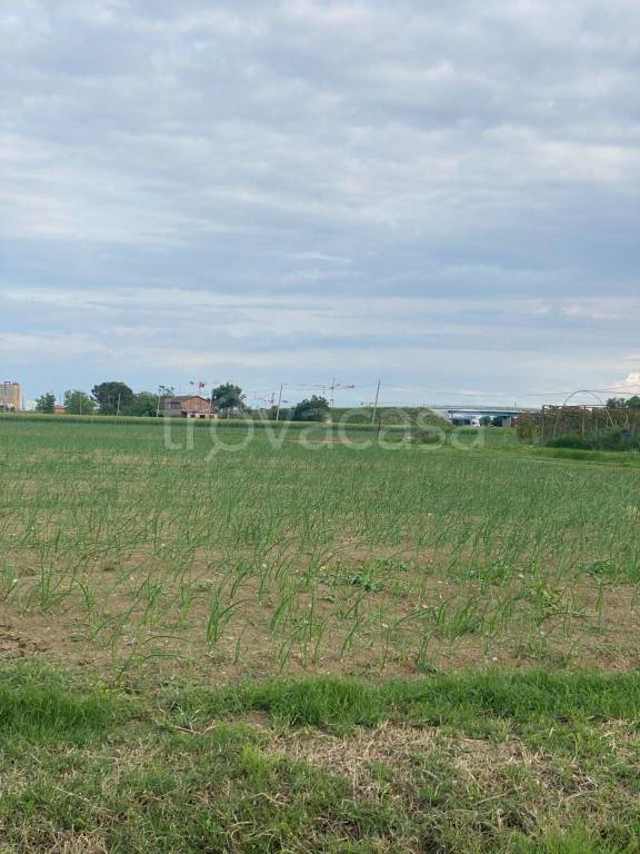 terreno agricolo in vendita ad Imola