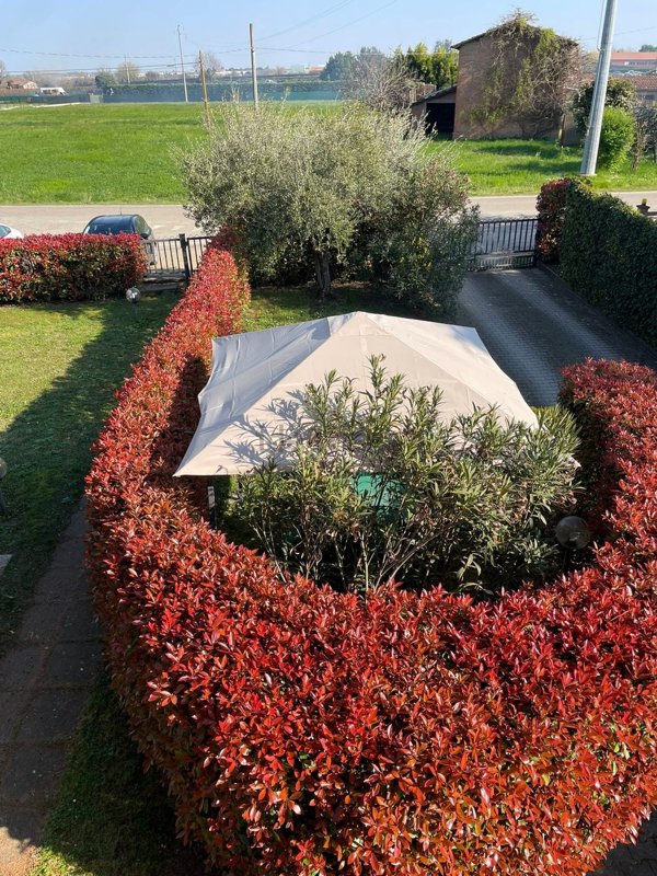 casa indipendente in vendita ad Imola