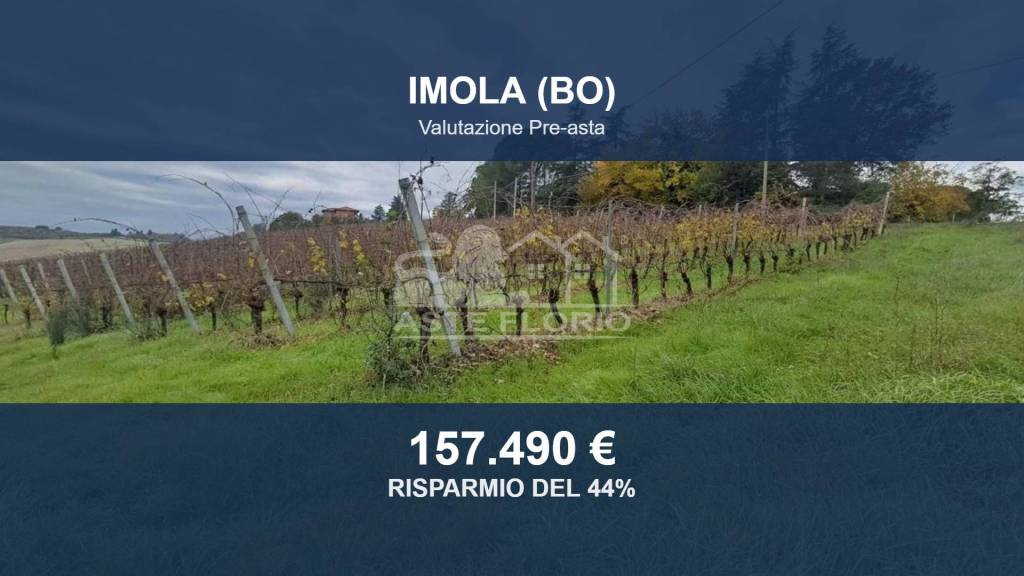 terreno agricolo in vendita ad Imola