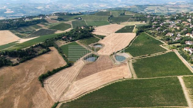 terreno agricolo in vendita ad Imola