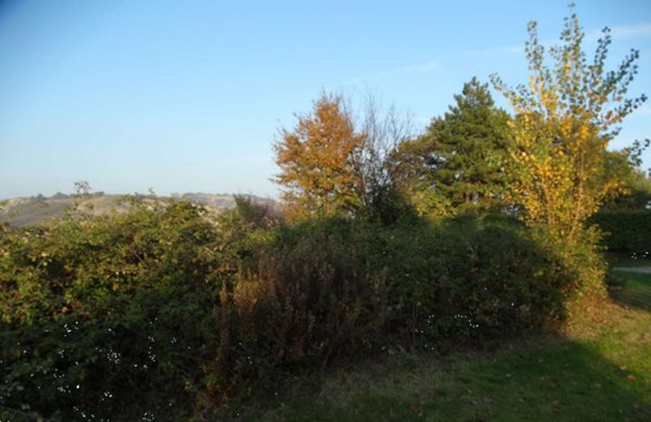 terreno agricolo in vendita ad Imola
