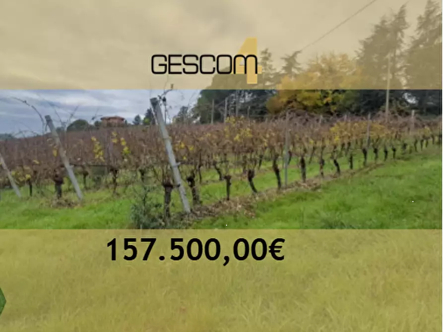 terreno agricolo in vendita ad Imola