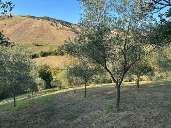 terreno agricolo in vendita ad Imola