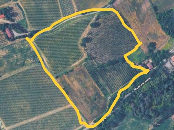 terreno agricolo in vendita ad Imola