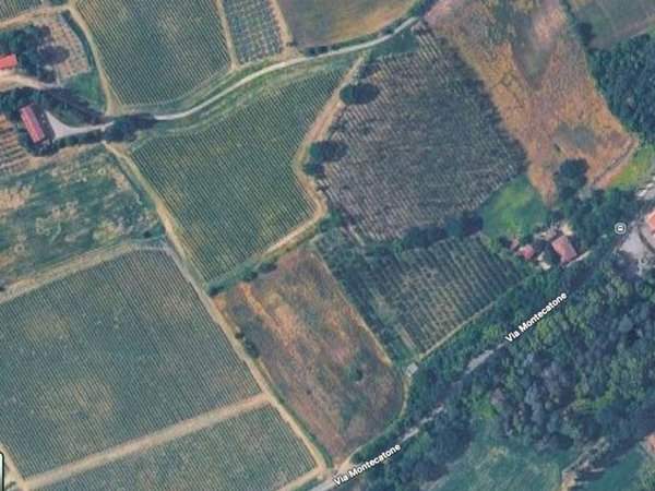 terreno agricolo in vendita ad Imola
