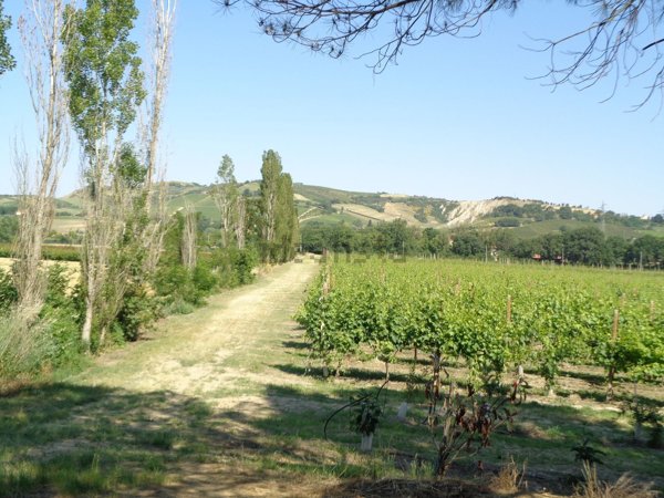 terreno in vendita ad Imola in zona Ponticelli