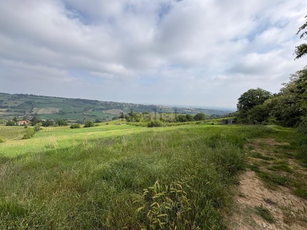 terreno agricolo in vendita ad Imola in zona Ponticelli