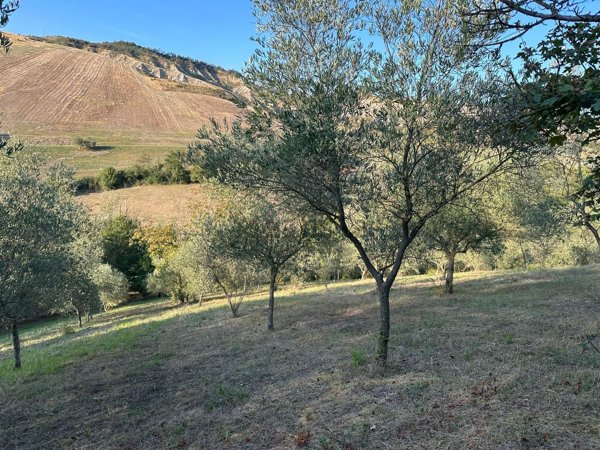 terreno agricolo in vendita ad Imola in zona Ponticelli