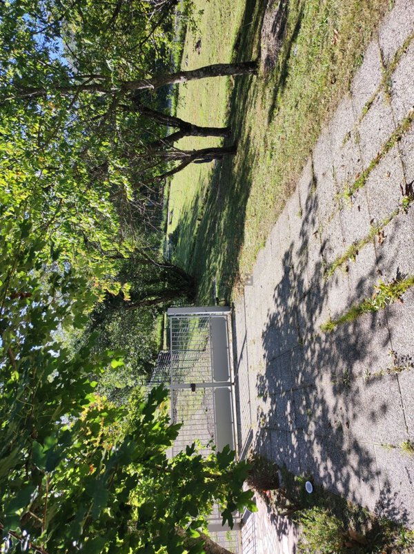 appartamento in vendita a Lizzano in Belvedere in zona Vidiciatico