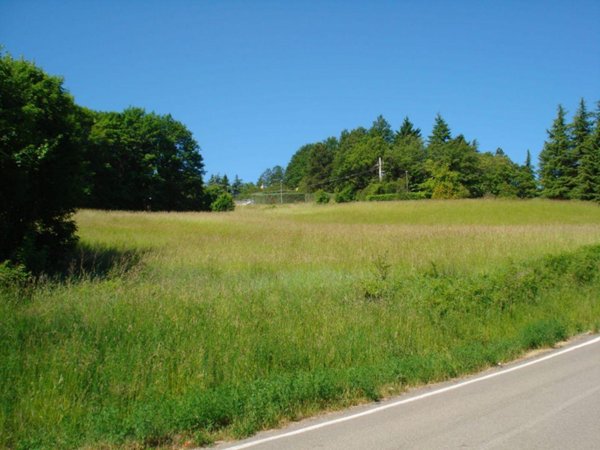 negozio in vendita a Loiano
