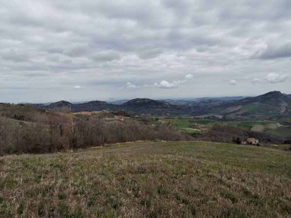 terreno agricolo in vendita a Loiano