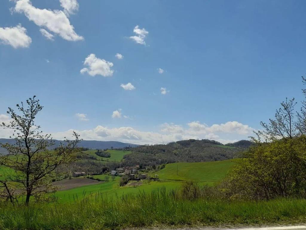 appartamento in vendita a Loiano in zona Quinzano