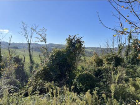 terreno agricolo in vendita a Loiano