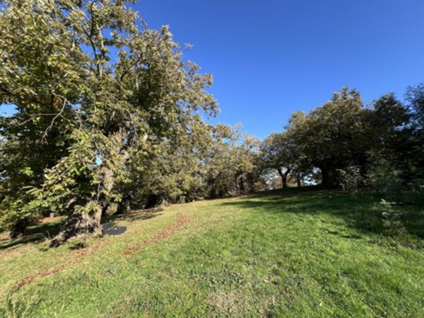 terreno agricolo in vendita a Loiano
