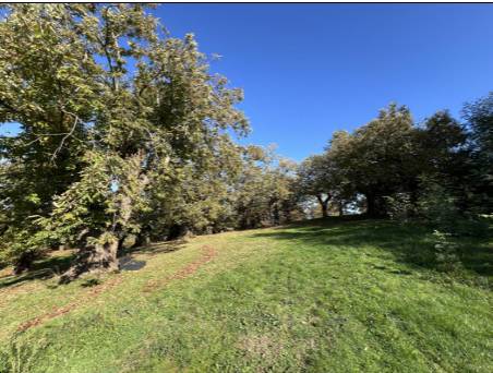 terreno agricolo in vendita a Loiano