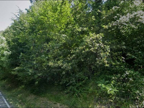 terreno agricolo in vendita a Loiano in zona Anconella