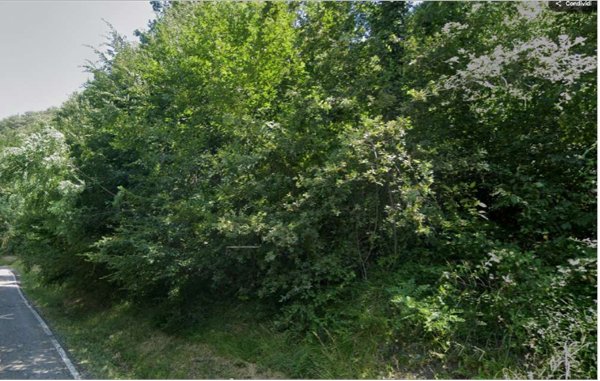 terreno agricolo in vendita a Loiano in zona Anconella