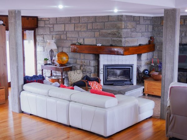 esavano in vendita a Loiano