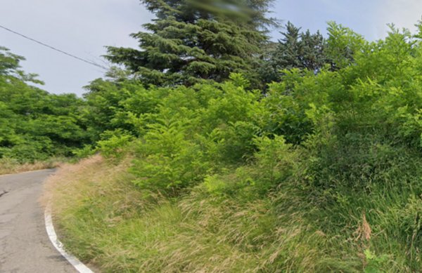 terreno agricolo in vendita a Loiano in zona Anconella