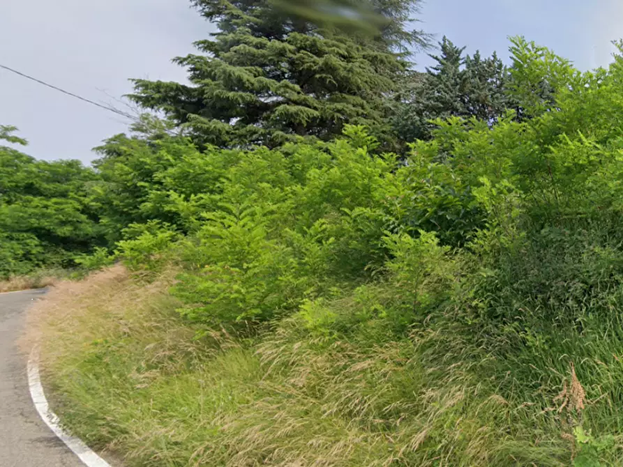 terreno agricolo in vendita a Loiano in zona Anconella