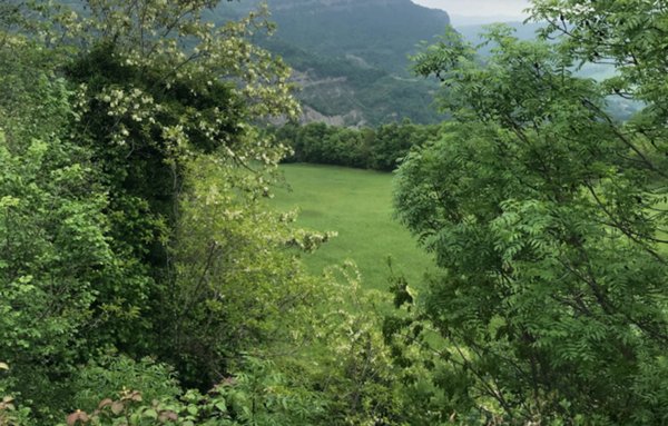 terreno agricolo in vendita a Loiano
