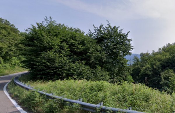 terreno agricolo in vendita a Loiano