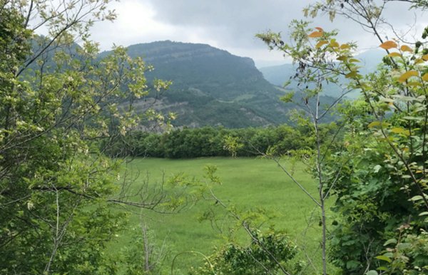 terreno agricolo in vendita a Loiano