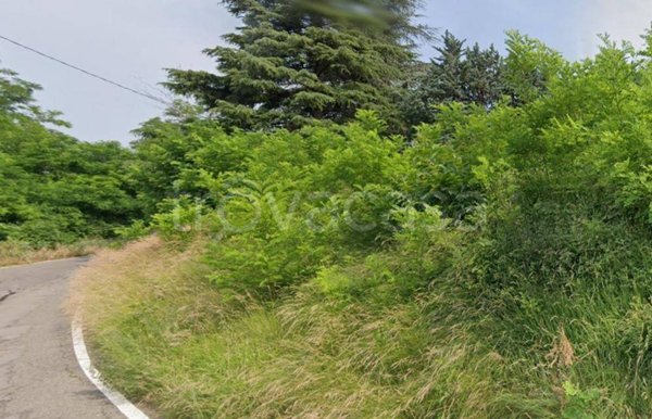 terreno agricolo in vendita a Loiano in zona Anconella
