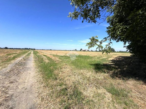 terreno agricolo in vendita a Malalbergo in zona Altedo