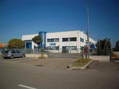 negozio in vendita a Malalbergo in zona Altedo