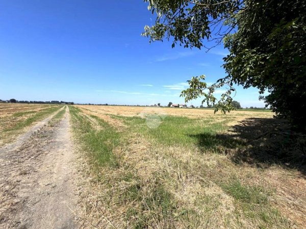 terreno agricolo in vendita a Malalbergo in zona Altedo