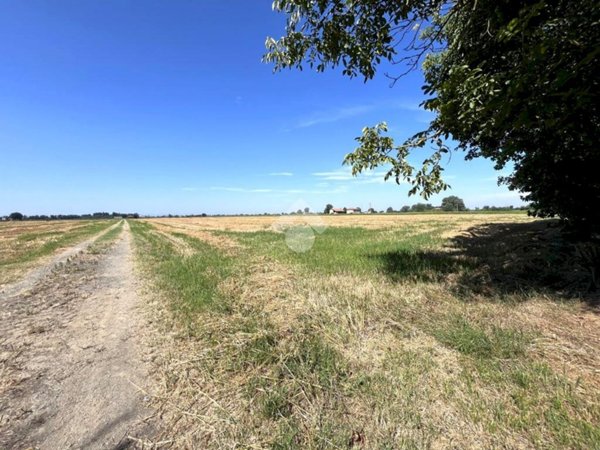 terreno agricolo in vendita a Malalbergo in zona Altedo