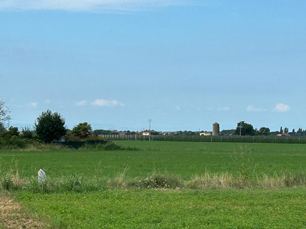 terreno agricolo in vendita a Malalbergo in zona Altedo