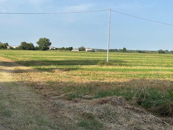 negozio in vendita a Malalbergo in zona Altedo