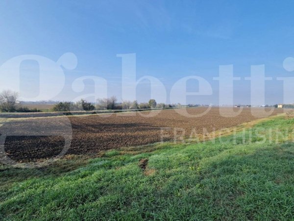 terreno agricolo in vendita a Malalbergo