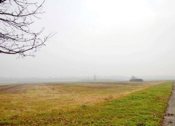terreno agricolo in vendita a Malalbergo