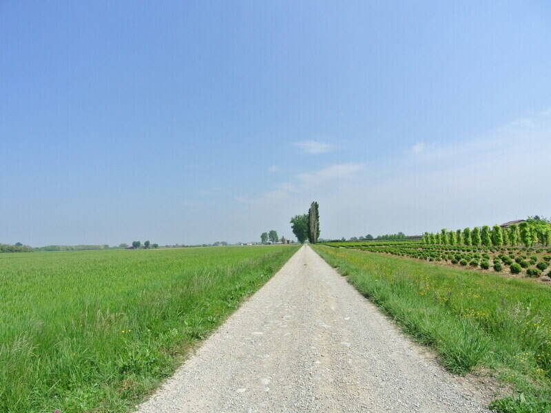 terreno agricolo in vendita a Malalbergo