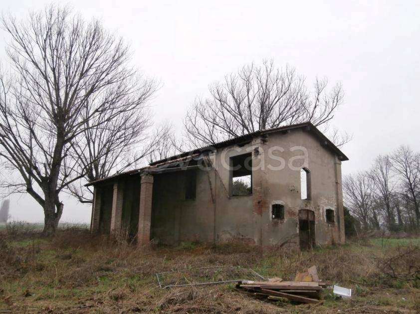 locale commerciale in vendita a Malalbergo