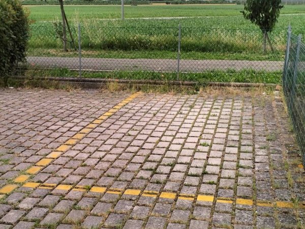box auto in vendita a Malalbergo