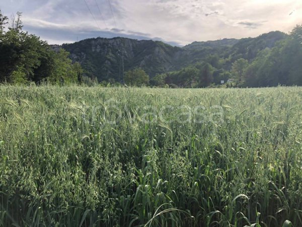 terreno agricolo in vendita a Marzabotto