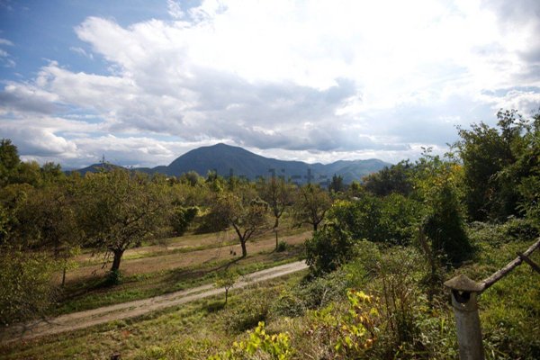 immagine annuncio 0 di 1