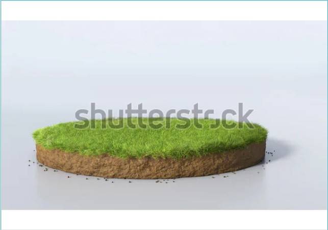 terreno agricolo in vendita a Medicina