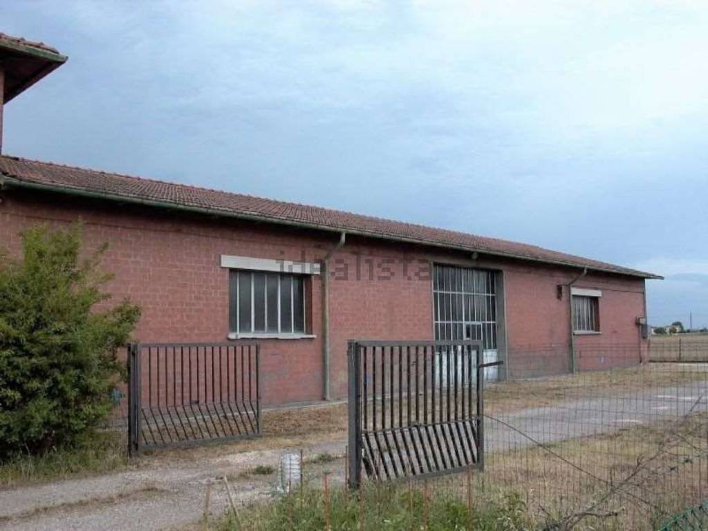 locale commerciale in vendita a Medicina