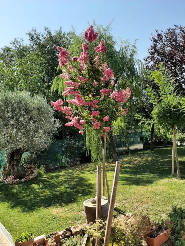 casa indipendente in vendita a Medicina