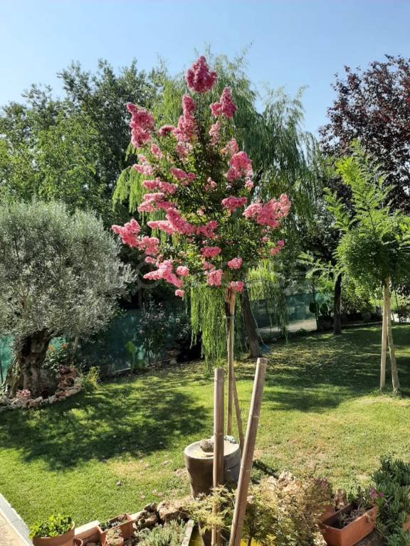 casa indipendente in vendita a Medicina